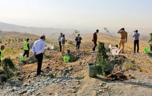 کاشت ۵۰۰ اصله نهال در مسیر گلزار شهدای گمنام شهرستان خواف