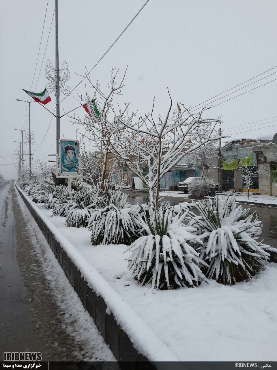 گزارش تصویری از بارش برف در شهر سلامی