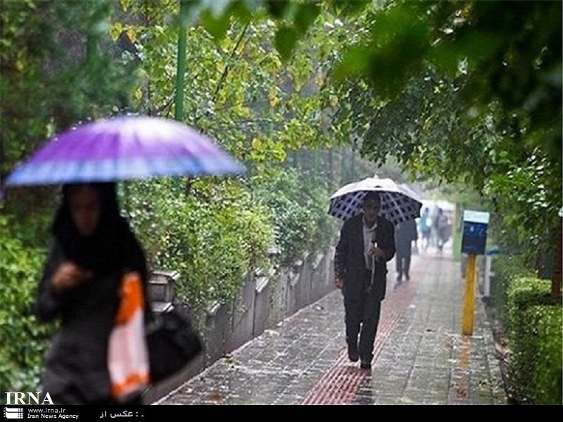 خواف رکورددار بارندگی های اخیر در استان